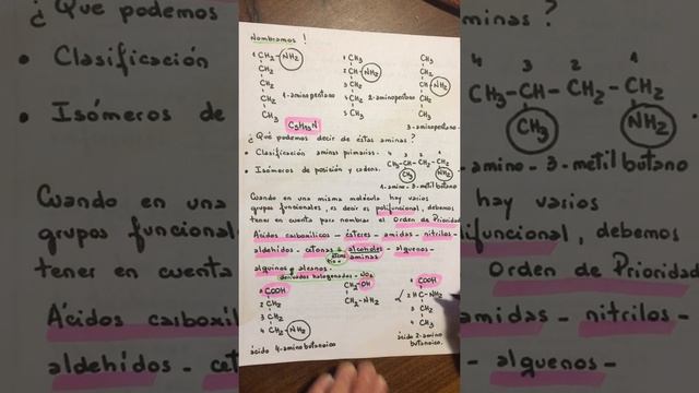Compuestos orgánicos nitrogenados смотреть онлайн