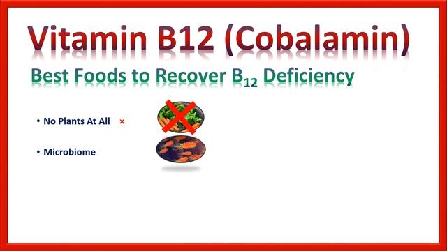 Vitamin B12 Foods? How to Increase B12 in body смотреть онлайн