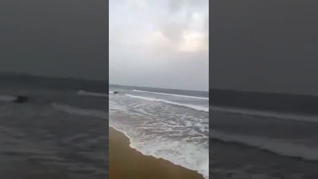 Hammamet. October, 2016 смотреть онлайн