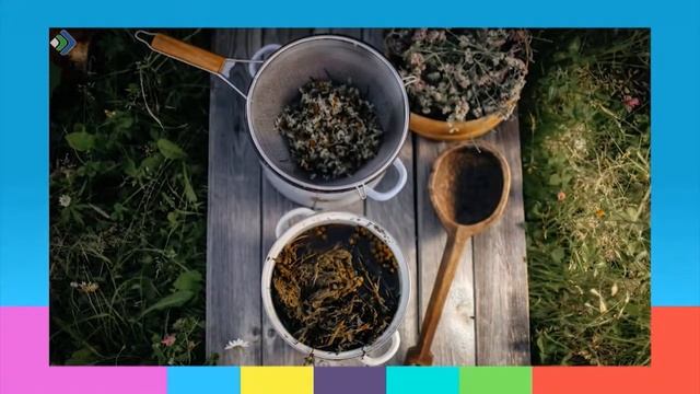 Лишайником красят одежду. Студия 11. 03.10.18 смотреть онлайн
