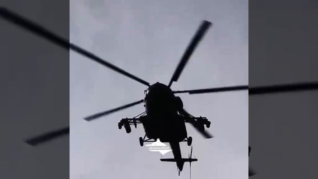 СВО Эдит🇷🇺 смотреть онлайн