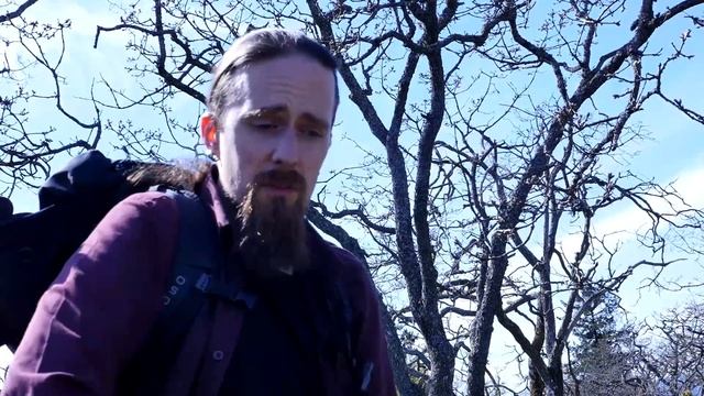 What's Up with Skall and What Needs to Change смотреть онлайн