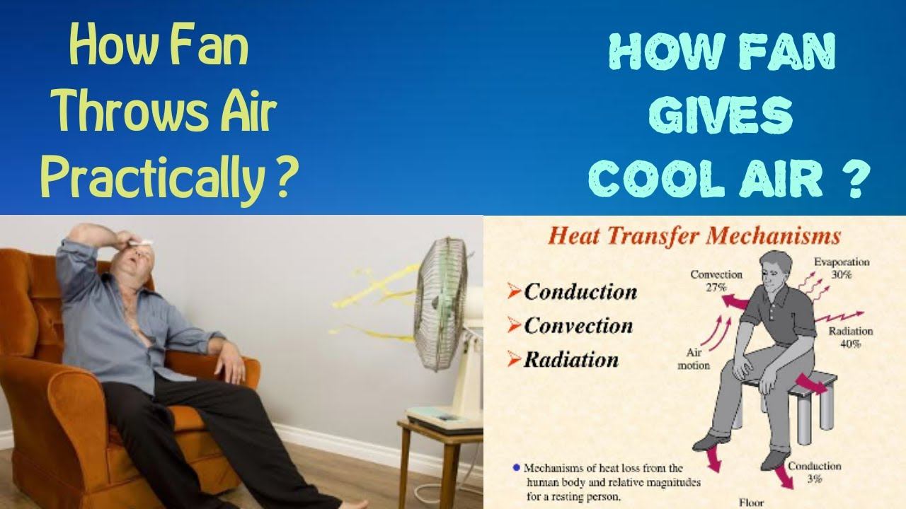 How Fan Works in Hindi || Why We Feel Cool under Fan || How Fan Throws Air || with Suitable Example смотреть онлайн