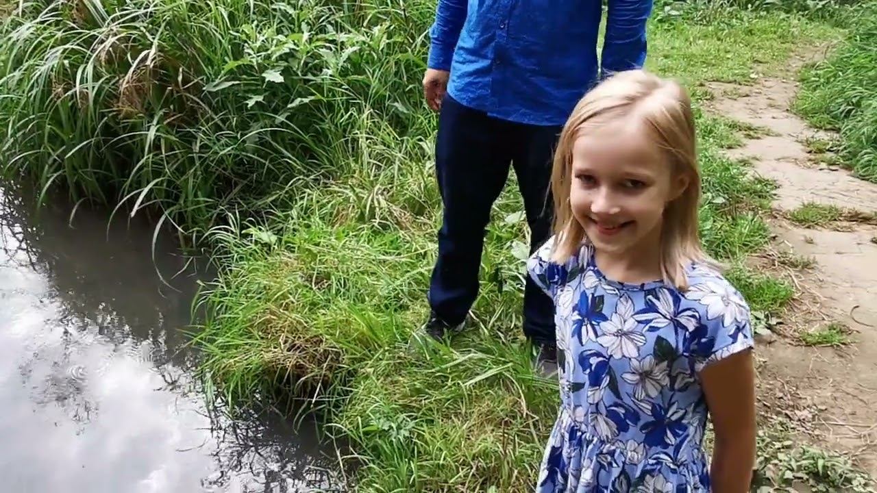 Гуляем с биологом по Одинцовскому лесу смотреть онлайн