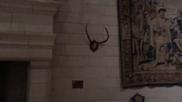 Бесконечные рога животных в Шамбор смотреть онлайн