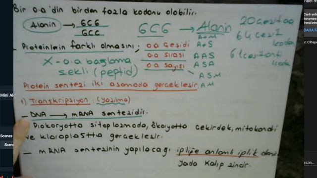 BİYOLOJİ- PROTEİN SENTEZİ- смотреть онлайн