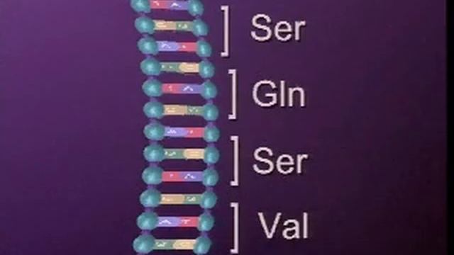 DNA MUTATION смотреть онлайн