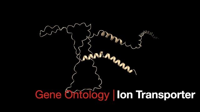 AlphaFold | Protein Structure Prediction of a Novel Gene Using Deduced Amino Acid Sequences👨🏻💻🧬 смотреть онлайн
