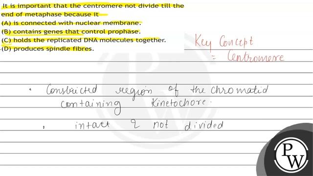 It is important that the centromere not divide till the end of metaphase because it
(A) is conne... смотреть онлайн