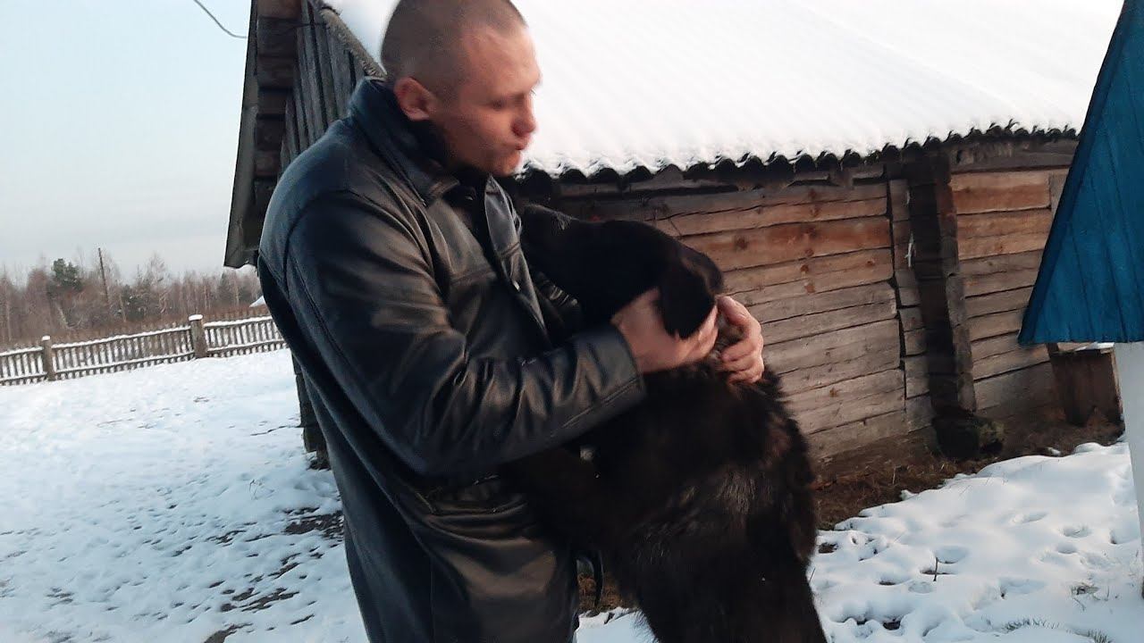 Встреча с Полканом. Скоро еду за нашим Крайслером 300м смотреть онлайн