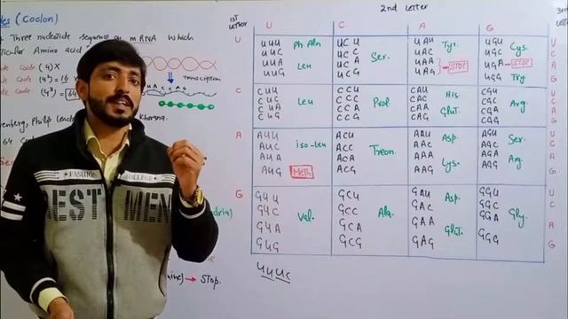 Genetic Codes | Detailed Explanation of Codons of mRNA смотреть онлайн