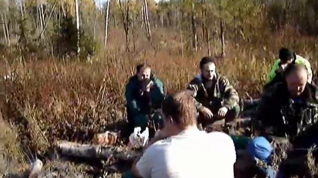 лесовики смотреть онлайн