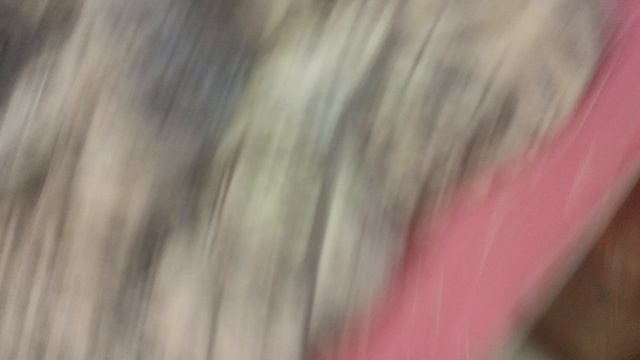 Reborn Mika And Aemili