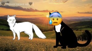 Топ 6 недооценёных персонажей в КВ. Чёрноглазка кв.