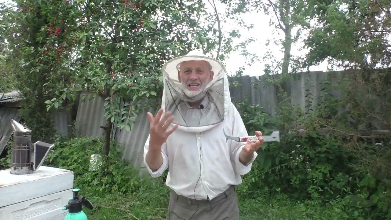 МАГАЗИНЫ ПОД МЁД.