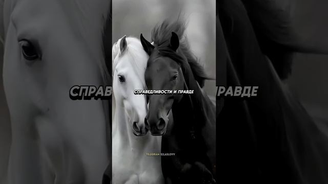 Почему так много зла в мире. Притча смотреть онлайн