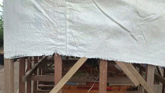CEK HARGA BONSAI TERBARU DI MAS PURNOMO BAIK NEGO LOSS. 0857-3333-6888 смотреть онлайн