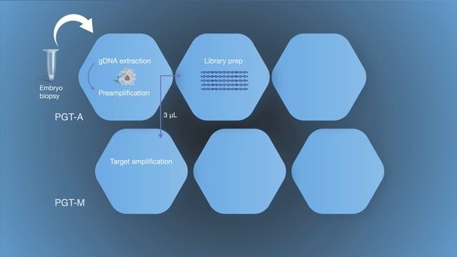Combined Preimplantation Genetic Testing Workflow смотреть онлайн