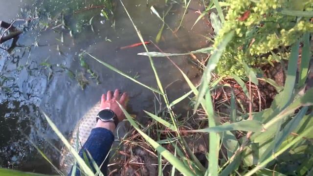 Охота с Рогаткой SLINGSHOT FISHING