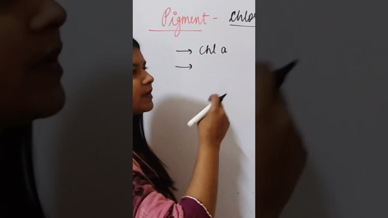 Part-3 Photosynthesis in higher plants By Vijita mam#subscribe #views_viral_video_subscribers_grow смотреть онлайн