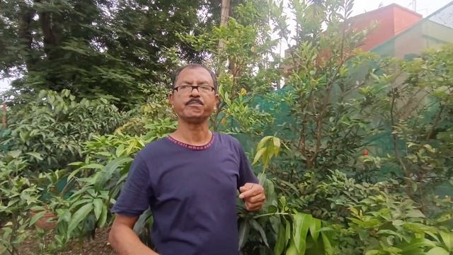 TASTE REVIEW OF CHERRY OF RIO GRANDE (06/04/24)#cherry #gardening #viral #rooftop смотреть онлайн