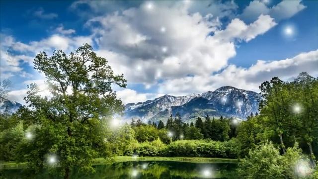Веточки зеленой стройной ели смотреть онлайн