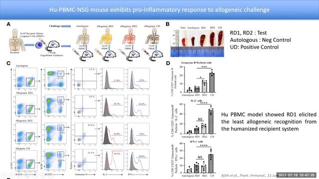 Novel Humanized Mouse Model for Assessment of Human Allogeneic Responses in Organ Transplantation смотреть онлайн