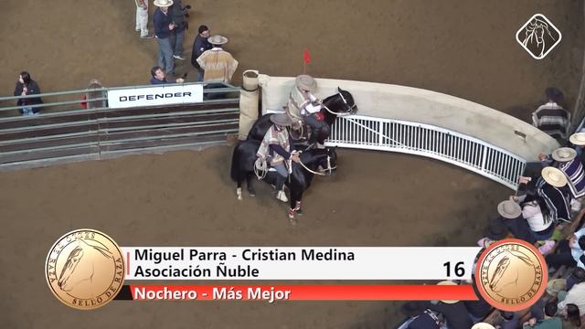 Sello de Raza Cap648 Serie Potros 2024 смотреть онлайн
