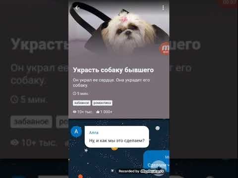Украсть собаку бывшего \\\ Истории TV смотреть онлайн