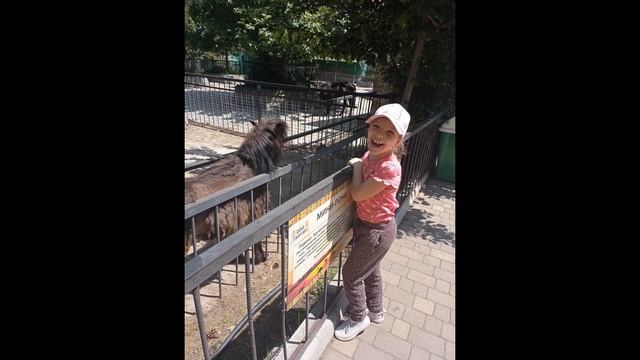 С днем рождения, Лера! Принимай поздравления от Влада и Мирослава смотреть онлайн