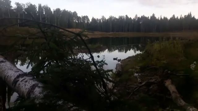Охота за 59 сек. ( Вечерка) смотреть онлайн