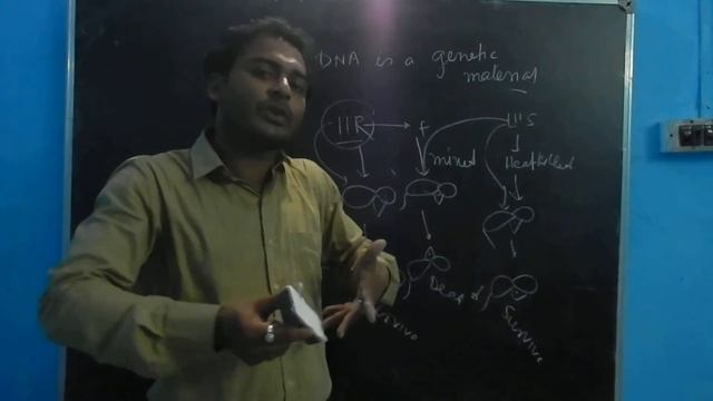 DNA is a genetic material # dna is is a transforming gene смотреть онлайн