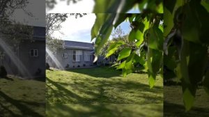 Группа Эдельвейс На Свадьбе Хайбула Хайбулаев Аварская Песня 2020