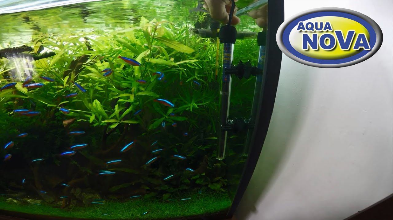 Grzałka do akwarium, Aquarium heater, Aquarium heizer смотреть онлайн