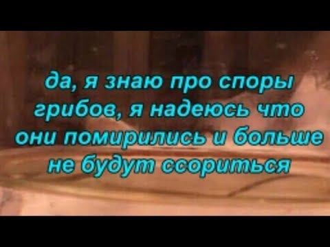 Феникс и Майлз пересдают биологию смотреть онлайн