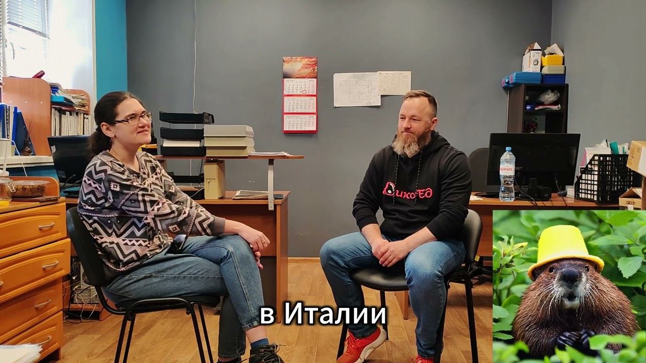 Бобры всегда добры #бобр #интервью #сочи #бизнес #мясо #москва смотреть онлайн