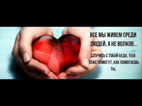🔥ВЕБИНАР ¦ СПАРТА 2 й круг раздачи 1000 монет ¦ РостPRIZM смотреть онлайн