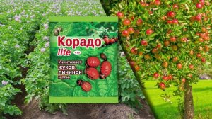 Средство против колорадского жука Корадо