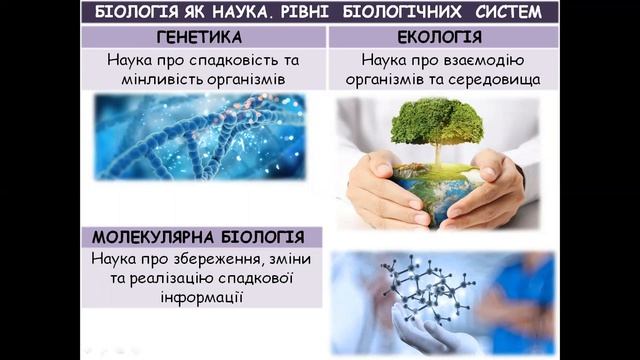 БІОЛОГІЯ ЯК НАУКА. РІВНІ ОРГАНІЗАЦІЇ БІОЛОГІЧНИХ СИСТЕМ смотреть онлайн