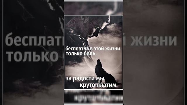 В жизни нам за всё приходится платить, И только «грязью» поливают нас бесплатно! смотреть онлайн