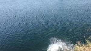 Сальто в воду с 7 метровой высоты