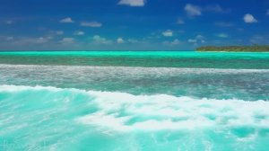 Мальдивы, расслабляющий фильм о природе в разрешении 4K!