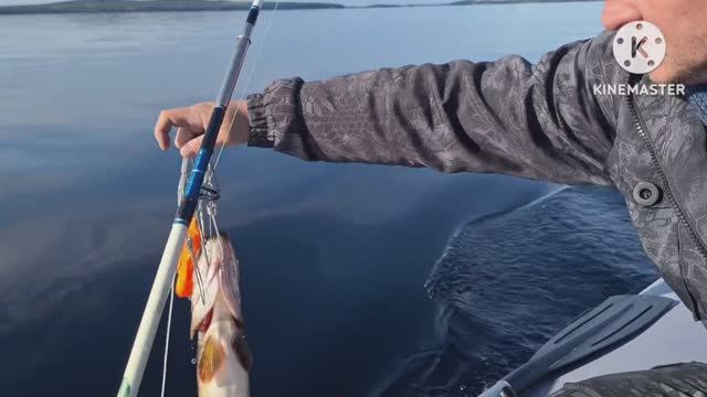 СегОзеро с Братиком 2024 Сентябрь