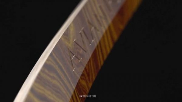 Kinetic Sculpture | Avian Pursuit | Tribute to Bob Potts