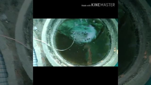 BIOFLOC WATER PH TDS смотреть онлайн