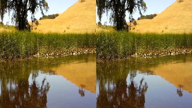 June Pond Stereo 3D #2 смотреть онлайн
