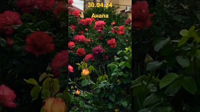 30 апреля 2024 г. смотреть онлайн