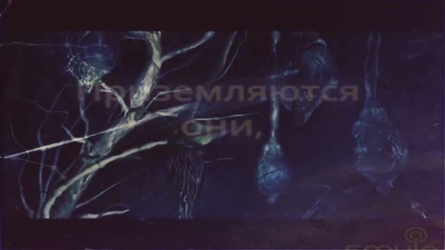 ДуэтыSmule-Цветут цветы-В.Петкун-Julia_Panther+Elestrado13. #duetsmule #smule #russianrock