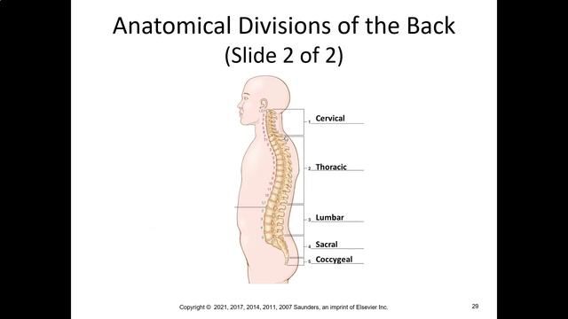 The Language Of Medicine Ch 2: Basic Terms