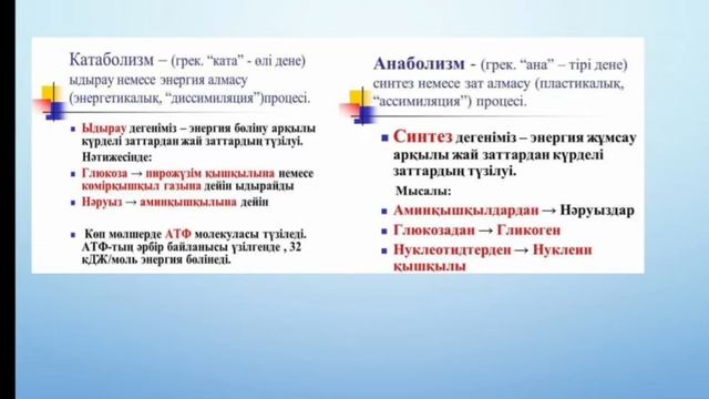 Зат алмасу смотреть онлайн